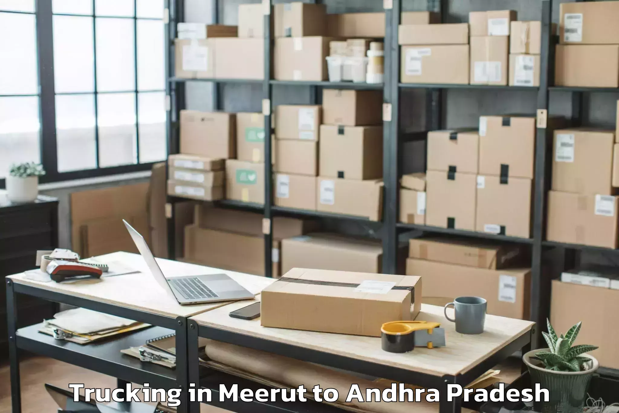 Get Meerut to Maddipadu Trucking